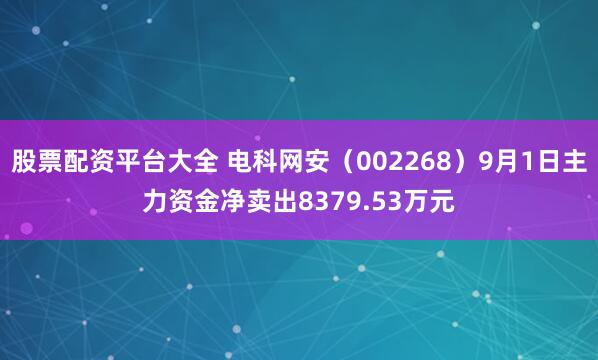 股票配资平台大全 电科网安（002268）9月1日主力资金净卖出8379.53万元